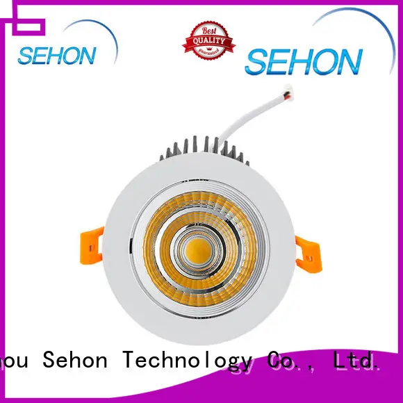 Sehon Wholesale pendant downlight Suppliers for home lighting 1