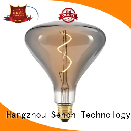Sehon High-quality where to buy vintage light bulbs Supply for home decoration 1