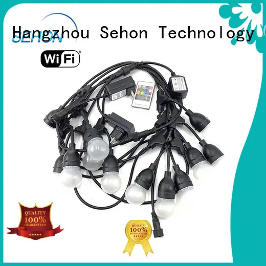 Custom temporary string lights company used on holidays 1