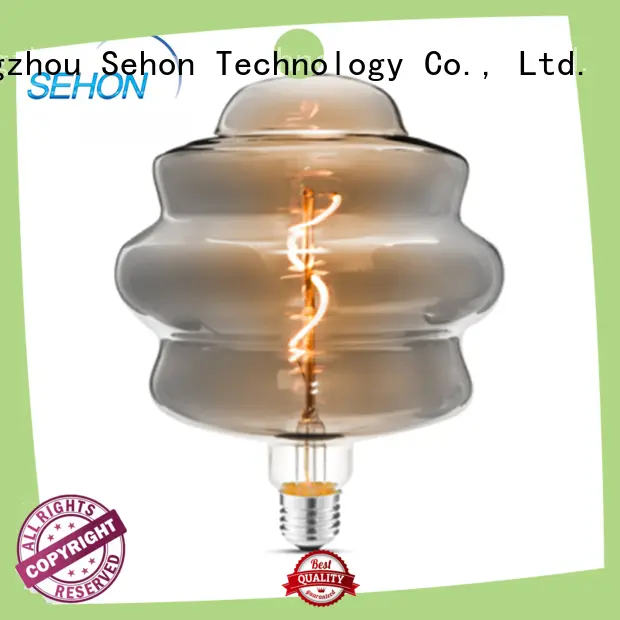 High-quality edison globe for business used in bathrooms 1