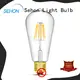 Sehon bright edison lights manufacturers used in living rooms 1