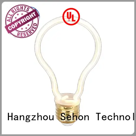 Latest large filament bulb Suppliers for home decoration 1