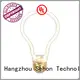 Latest large filament bulb Suppliers for home decoration 1