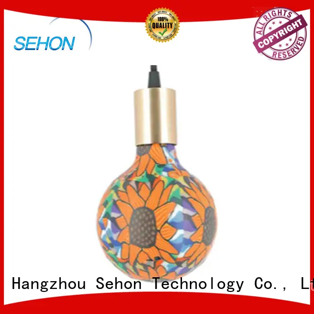 Sehon vintage style led light bulbs for business for home decoration 1