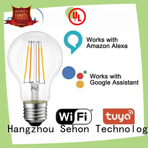 Sehon High-quality filament light fixtures for business used in bedrooms 1