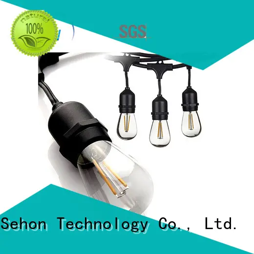 Sehon led string lights for home Supply used on Halloween 1