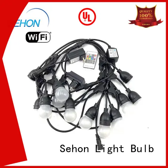 Sehon outdoor strand lighting Suppliers used on Christmas 1