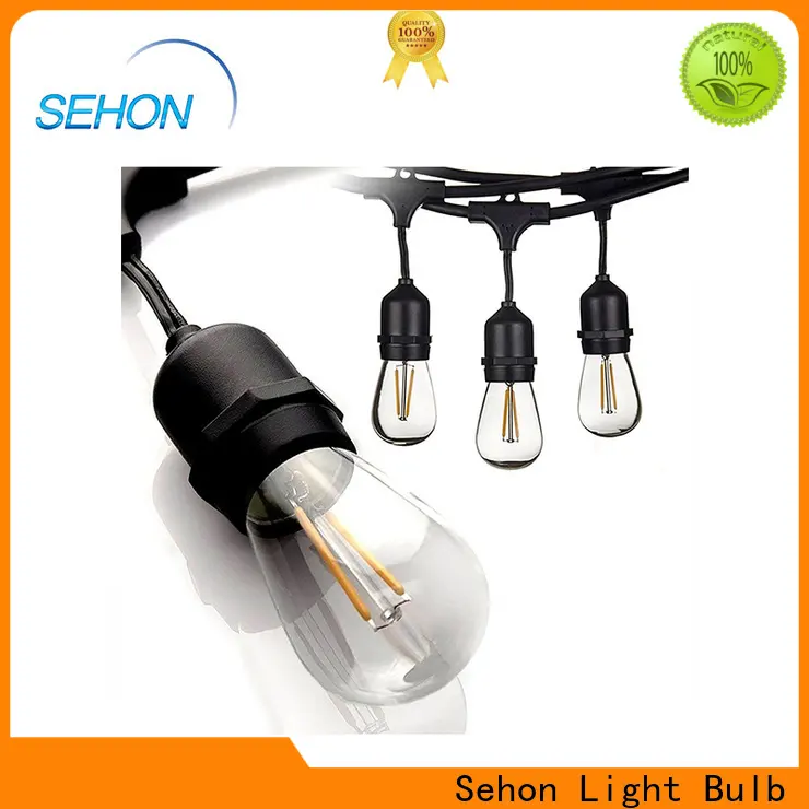 Custom sting of lights company used on Christmas 1