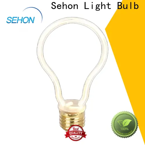 Sehon Best edison filament globe for business used in bathrooms 1