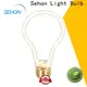 Sehon Best edison filament globe for business used in bathrooms 1