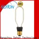 Sehon Wholesale filament bulb light fittings factory used in living rooms 1