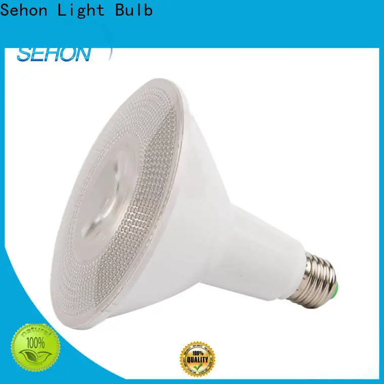 Sehon Wholesale black led spotlights Suppliers used in entertainment venues lighting 1