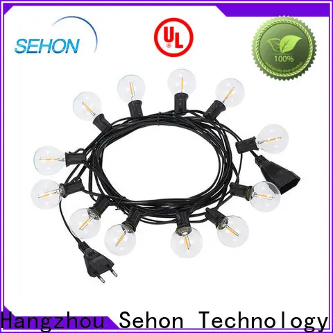 Sehon Top individual led lights Suppliers used on Christmas 1