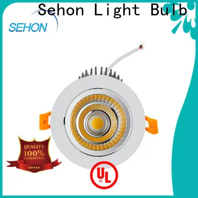 New dimmable halogen downlights for business for home lighting 1