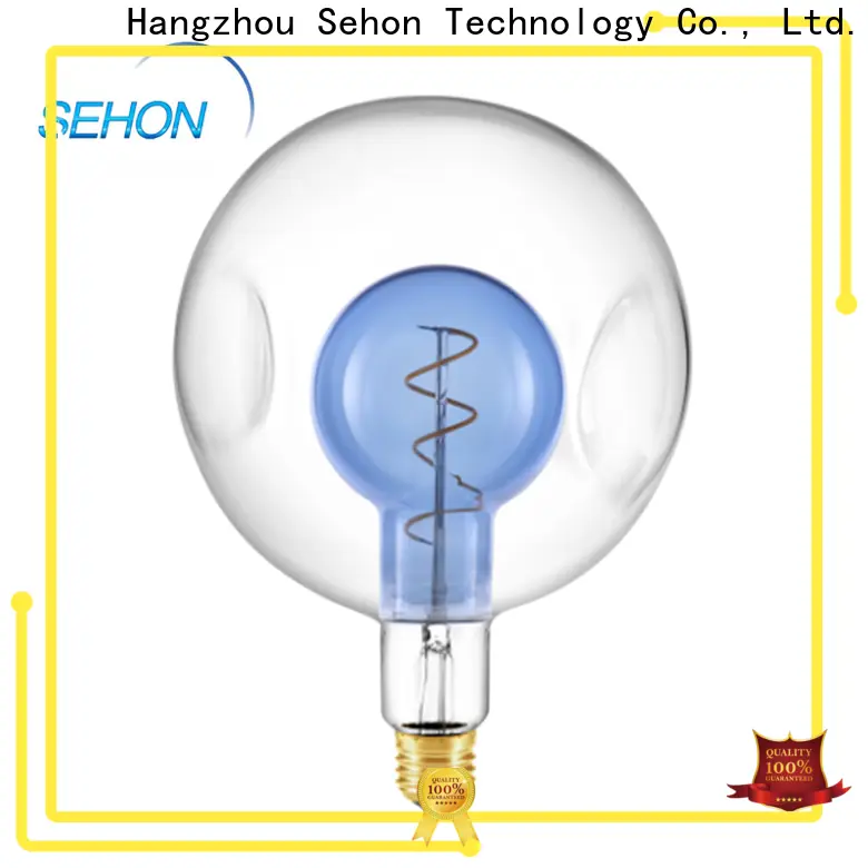 Sehon w5w led bulb for business for home decoration 1