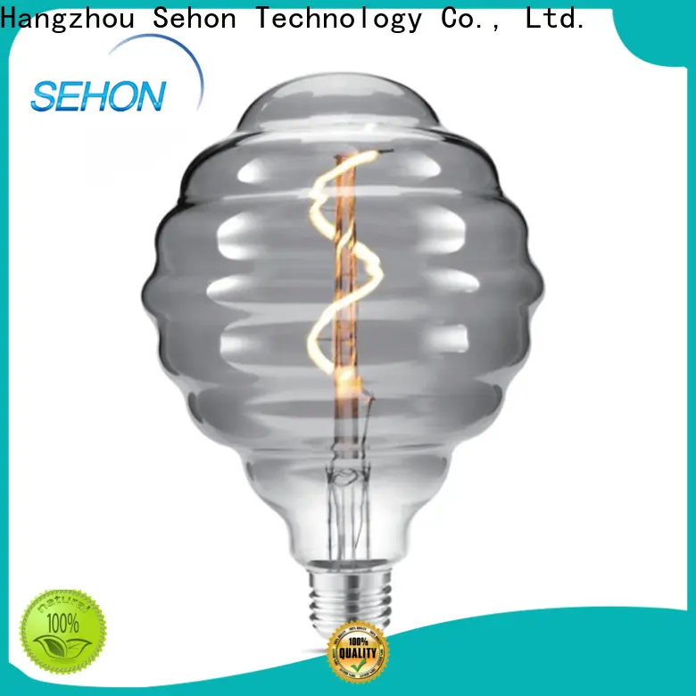 Best globe led filament bulb company used in bedrooms 1