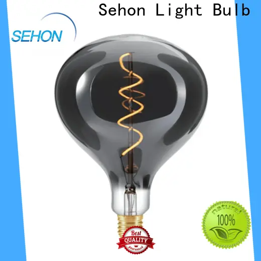 Custom led edison globes for business for home decoration 1