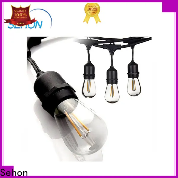 High-quality commercial led rope lights Suppliers used on holidays 1