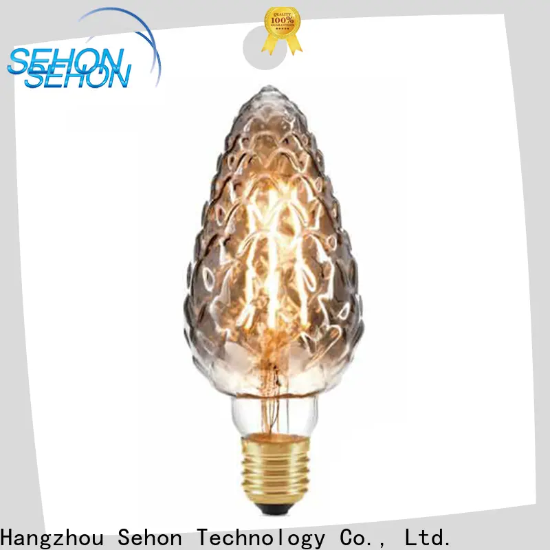 Sehon Custom einstein bulb factory used in bathrooms 1