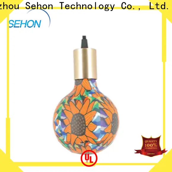 Sehon led that looks like incandescent manufacturers for home decoration 1