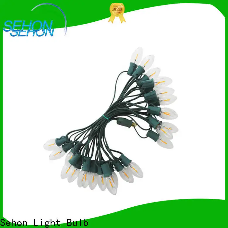 Best low voltage led rope light Supply used on Christmas 1