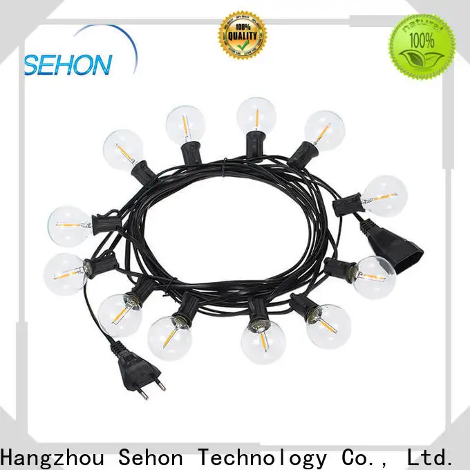 Sehon Best 50 led string lights Supply used on Christmas 1