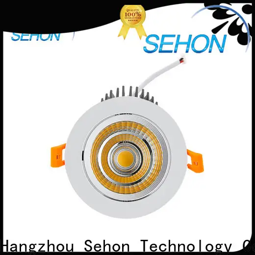 Sehon large downlights factory for hotel lighting 1