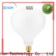 Sehon large edison style light bulbs factory used in living rooms 1