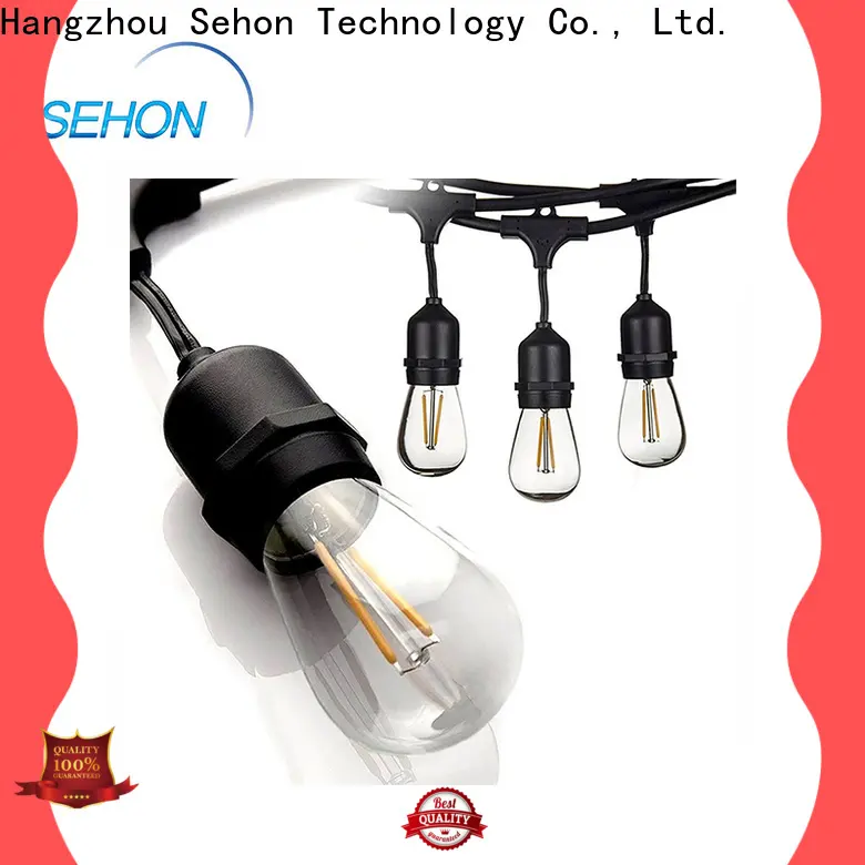 Sehon Latest micro led rope lights manufacturers used on Christmas 1