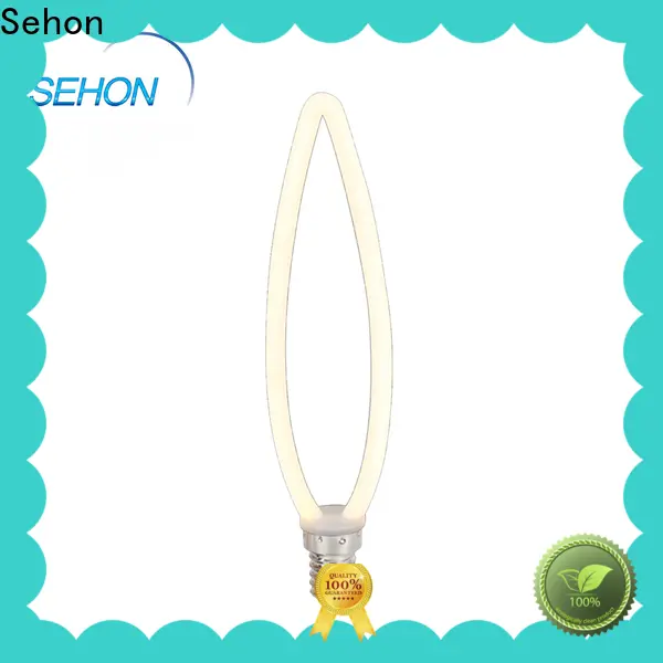 Sehon edison led globe Suppliers used in living rooms 1