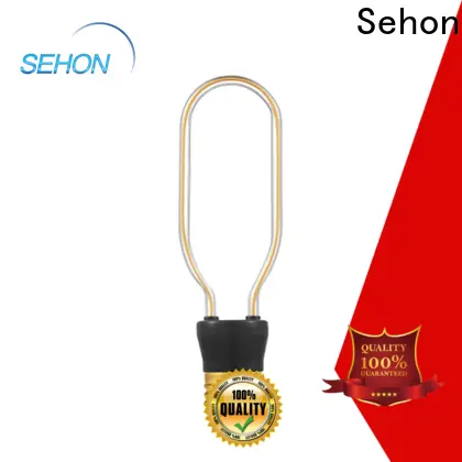 Latest a19 vintage led light bulb company used in living rooms 1