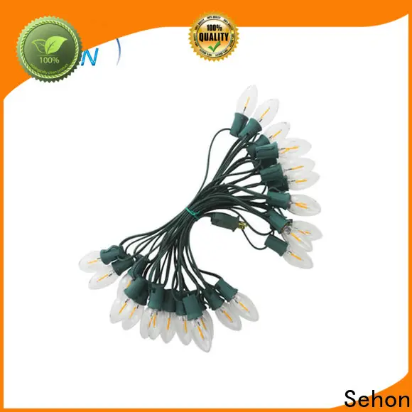 Sehon High-quality where to buy white string lights for business used on Halloween 1
