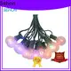 Sehon Latest short led string lights Suppliers used on Christmas 1