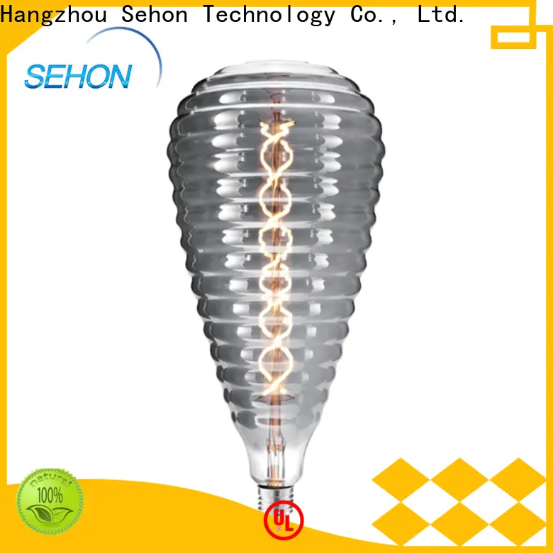 Sehon globe led filament bulb Suppliers used in bathrooms 1