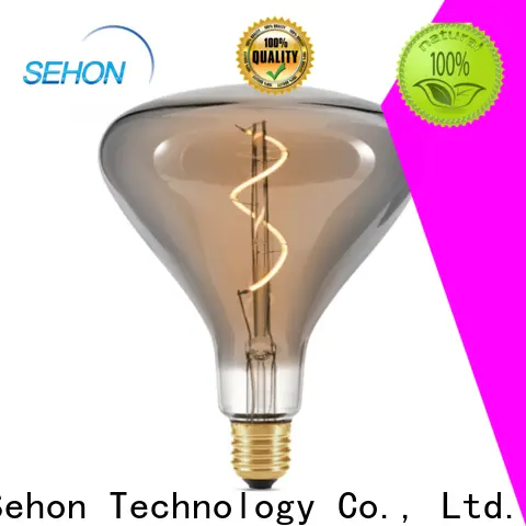 High-quality large edison light bulbs company for home decoration 1