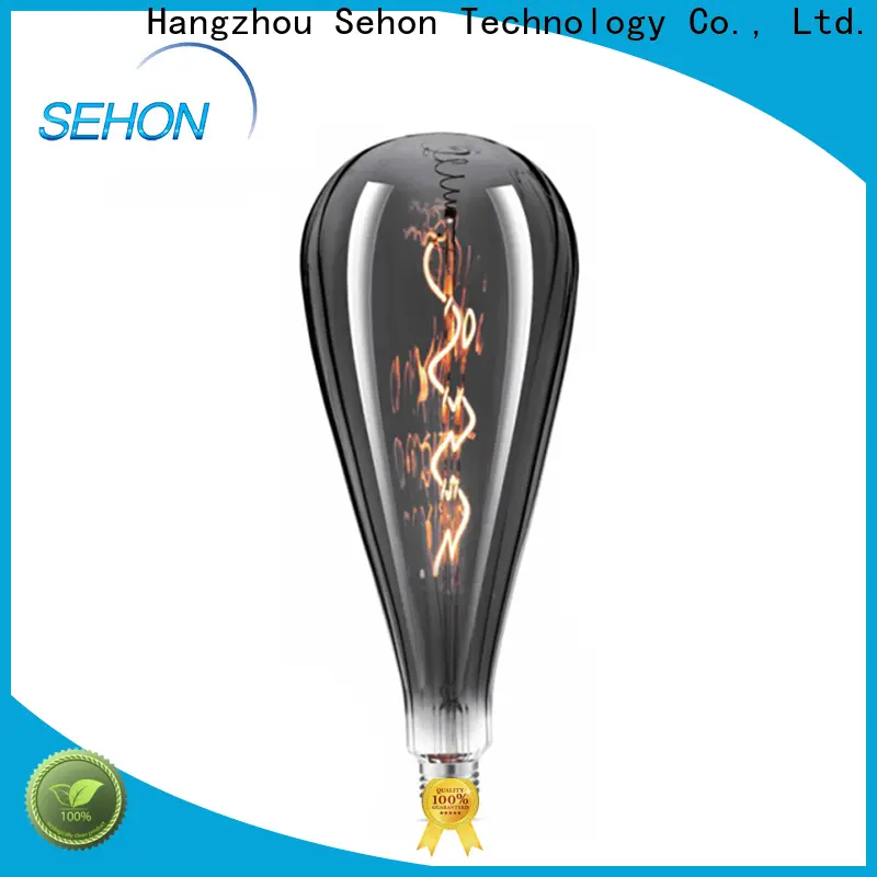 Sehon filament lighting for business used in bathrooms 1