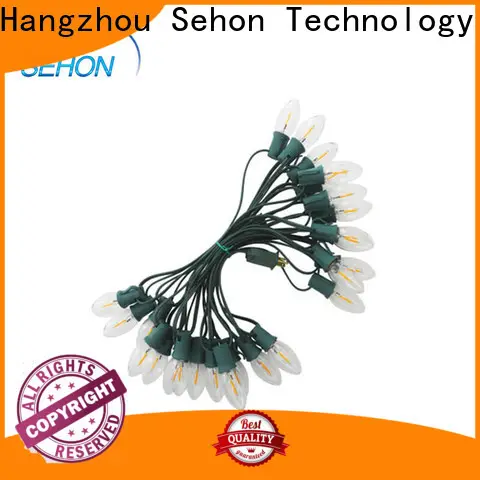 Latest led string lights outdoor use for business used on holidays 1