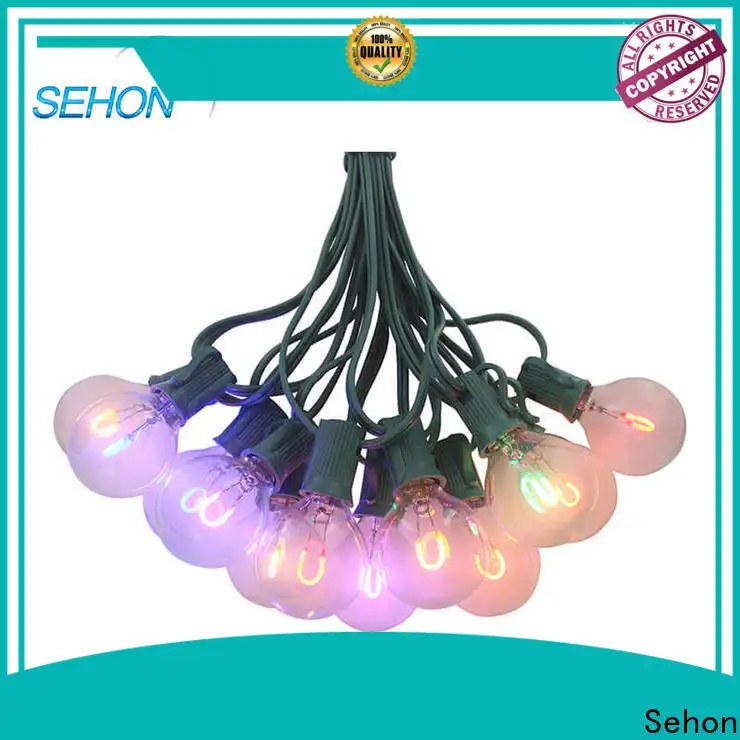 Sehon led garland lights Suppliers used on Halloween 1