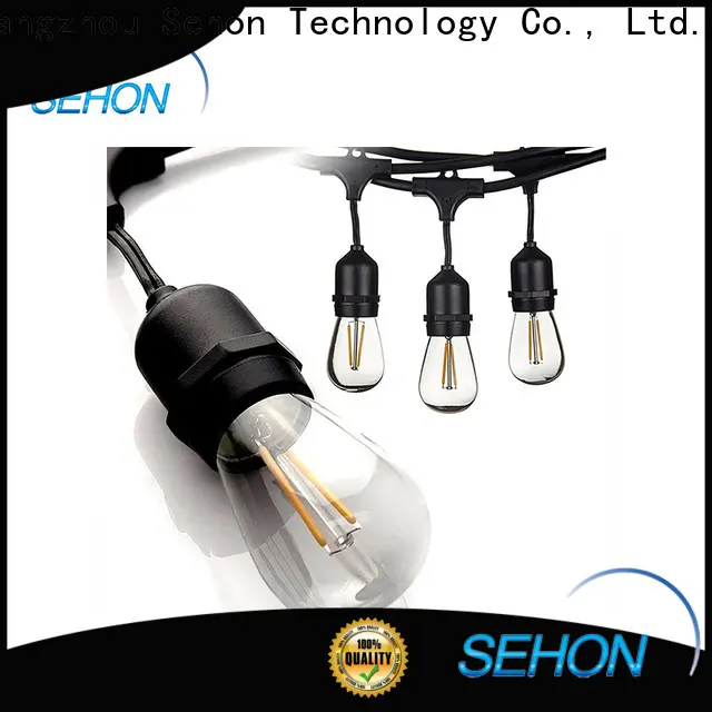 Top led chain light price factory used on Halloween 1