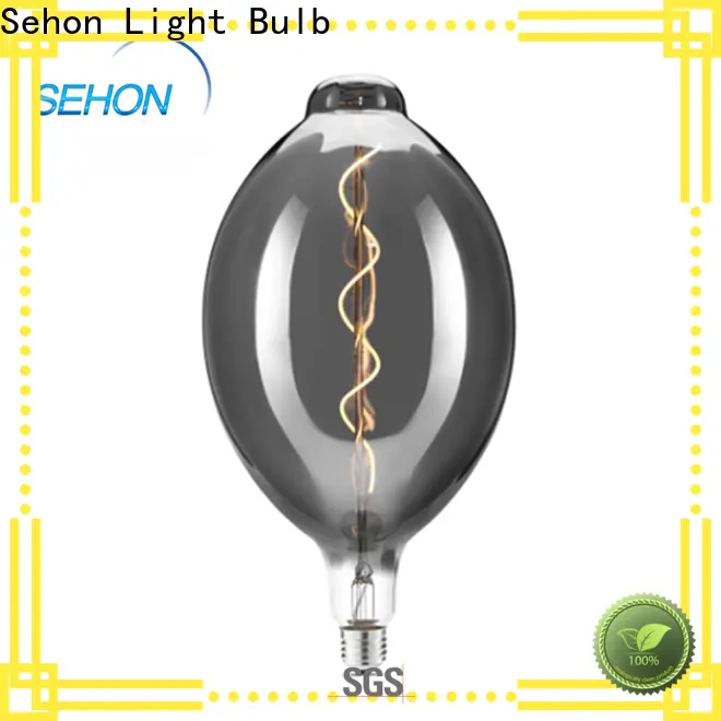 Sehon edison globe factory used in bathrooms 1