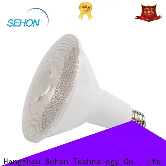 Sehon Custom led ceiling spot lights Suppliers used in cafes lighting 1