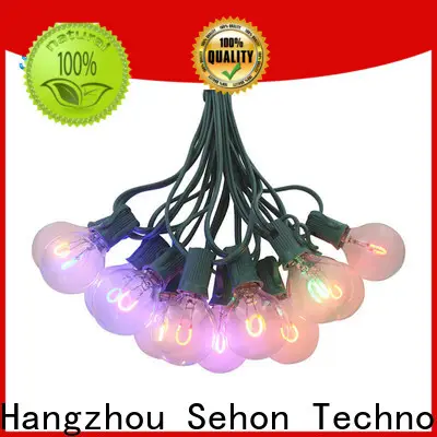 Best round bulb string lights Supply used on Halloween 1