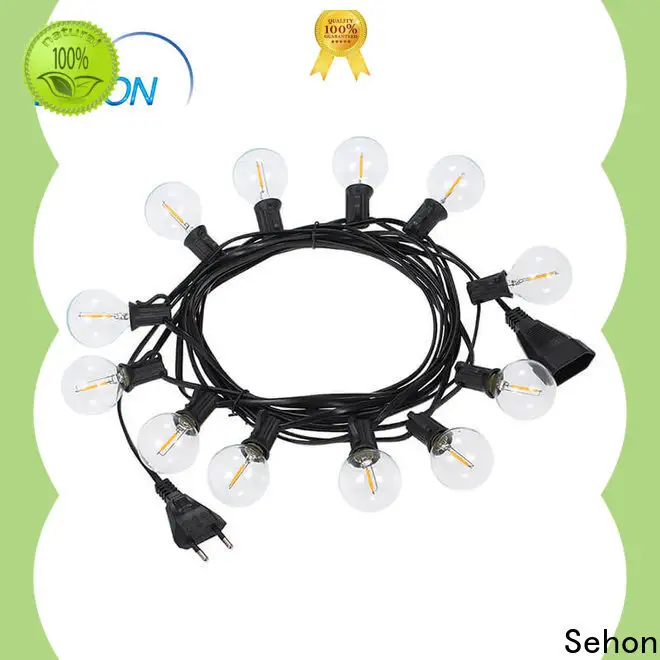 Sehon red led rope lights Supply used on Christmas 1