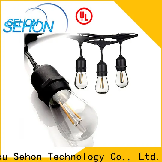 New buy led rope light Suppliers used on Christmas 1