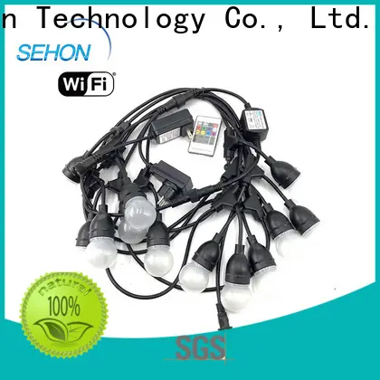 Sehon micro led rope lights company used on holidays 1