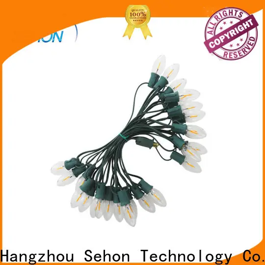 Sehon High-quality 10 bulb led string lights company used on holidays 1