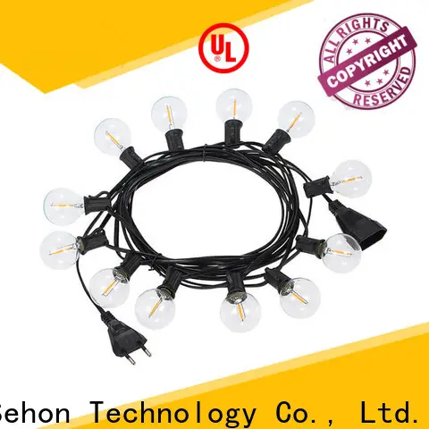Sehon Latest indoor outdoor rope lights factory used on holidays 1
