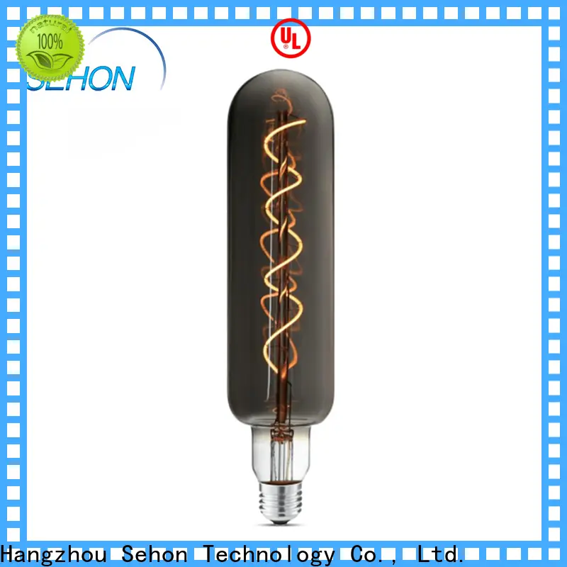 Sehon High-quality w5w led bulb manufacturers used in bathrooms 1