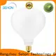 Sehon Latest large edison style light bulbs for business for home decoration 1