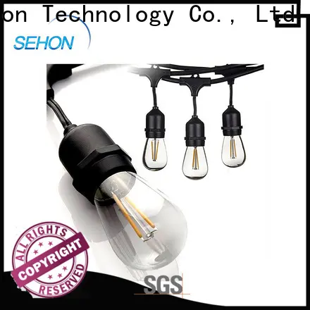 Latest led mini globe lights for business used on Christmas 1